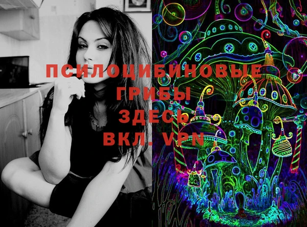 МДПВ Абинск