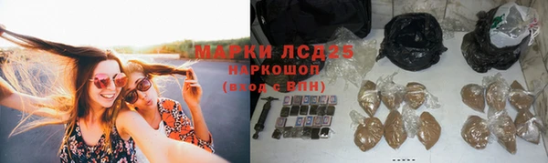 сатива Абаза