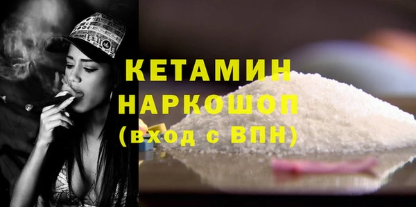 сатива Абаза