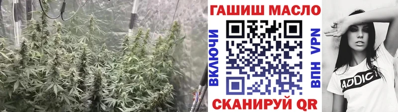 ТГК THC oil  купить наркотики сайты  Аксай 
