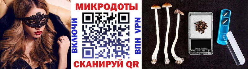 цена   Аксай  Галлюциногенные грибы Psilocybine cubensis 